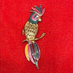 Colorful Parrot Brooch